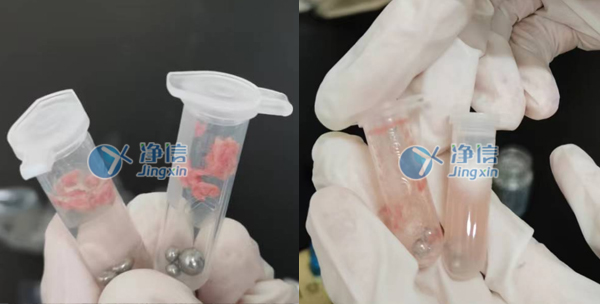 行星式球磨機(jī)對肺組織球磨操作實(shí)驗(yàn)方法|上海凈信