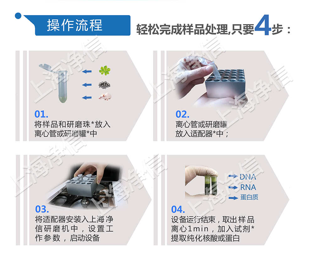 上海凈信-組織研磨機(jī)助力中國(guó)海關(guān)抗擊非洲豬瘟的工作進(jìn)行